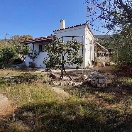 Villa Elafonisos Detached House In Quiet Olive Grove, Starlink Internet & Smart Projector! Extérieur photo