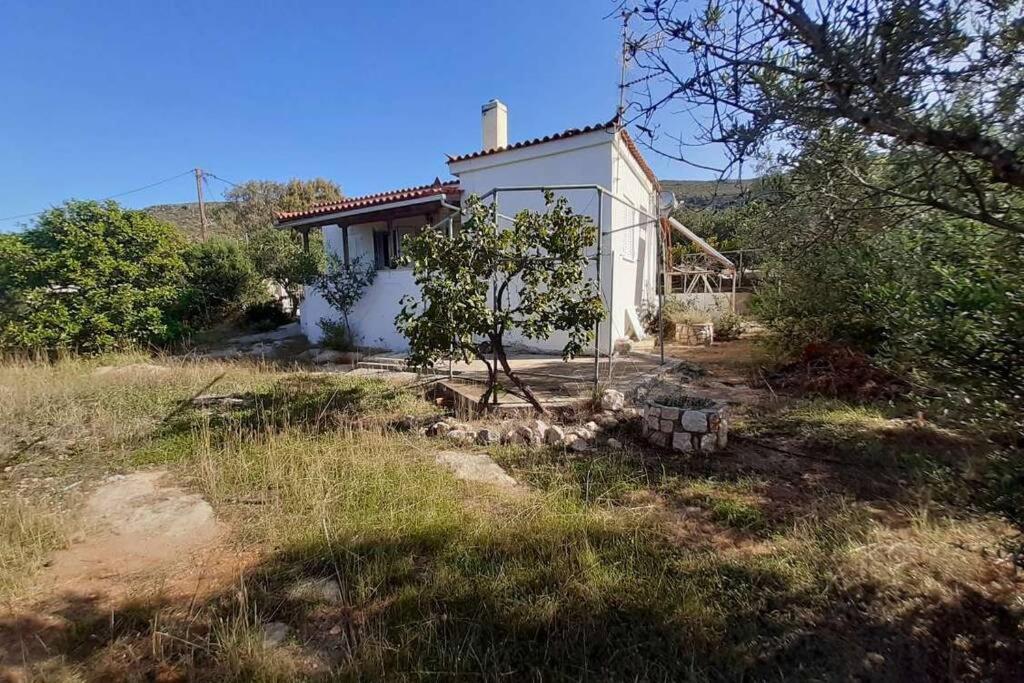 Villa Elafonisos Detached House In Quiet Olive Grove, Starlink Internet & Smart Projector! Extérieur photo
